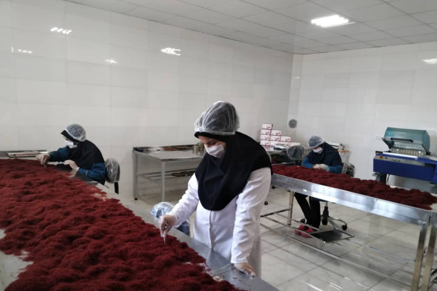 انواع روش های خشک کردن زعفران