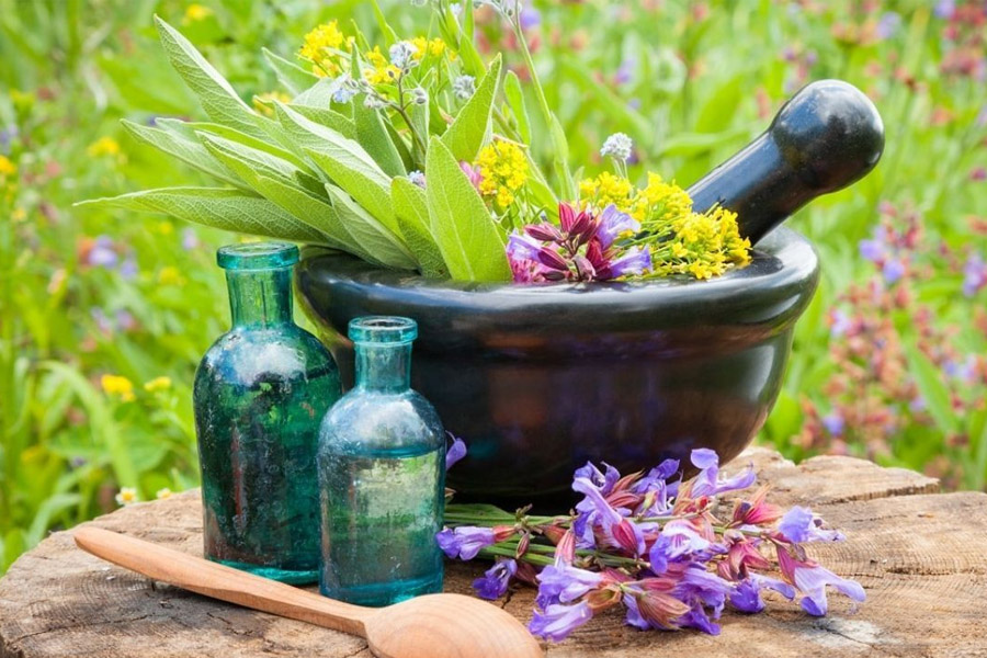 تعریف گیاه دارویی