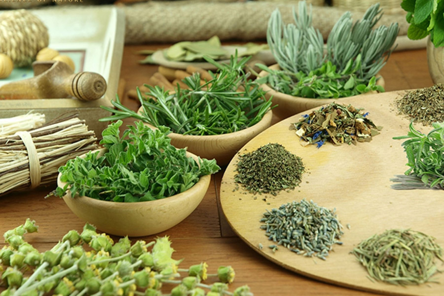 طبقه بندی گیاهان دارویی