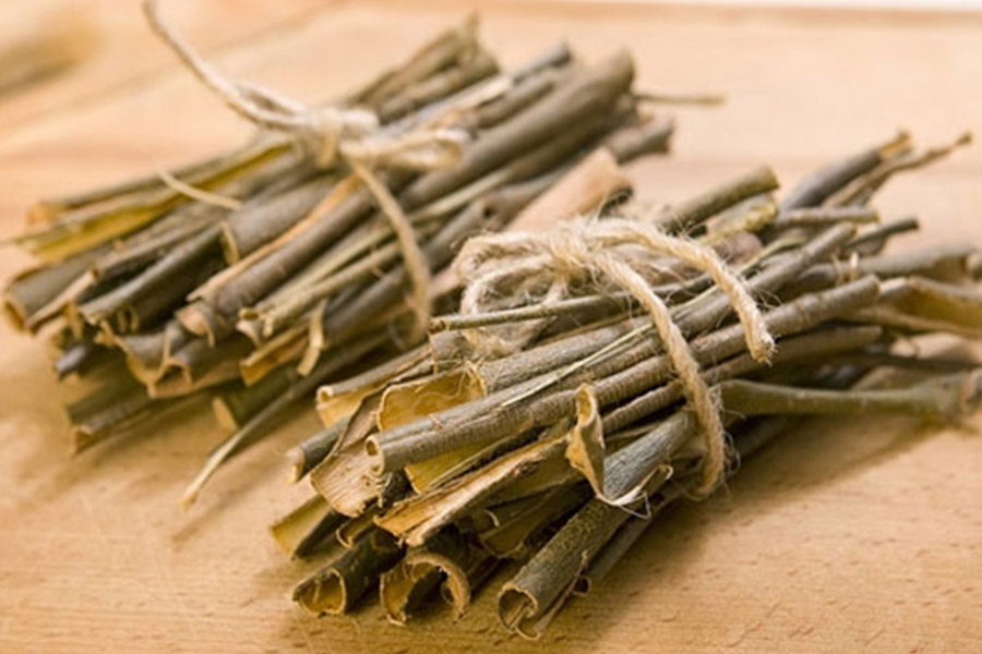 برداشت پوست گیاهان دارویی