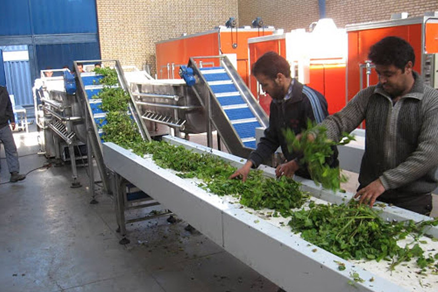 خشک کردن گیاهان دارویی با حرارت مصنوعی، جریان هوای معمولی و هوای گرم