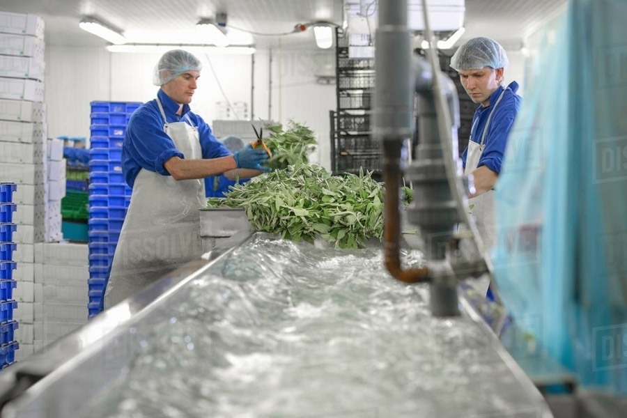 حداقل شرایط لازم جهت واحدهای بسته بندی گیاهان دارویی، عصاره ها و اسانسهای گیاهی