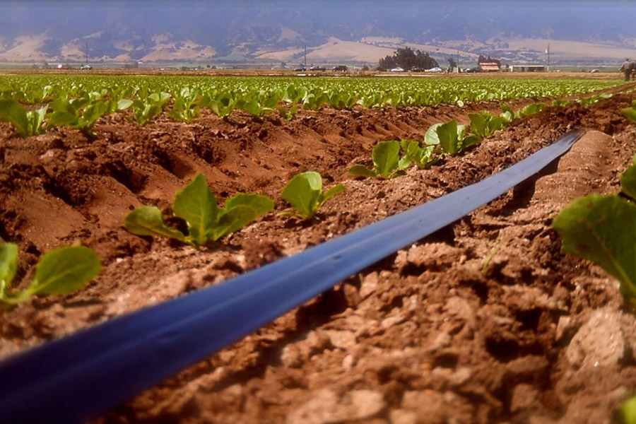 سیستم آبیاری نواری (تیپ)