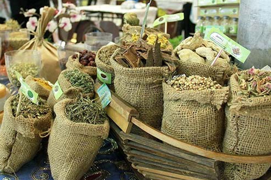 تولید گیاهان دارویی در طرح مشاغل خانگی