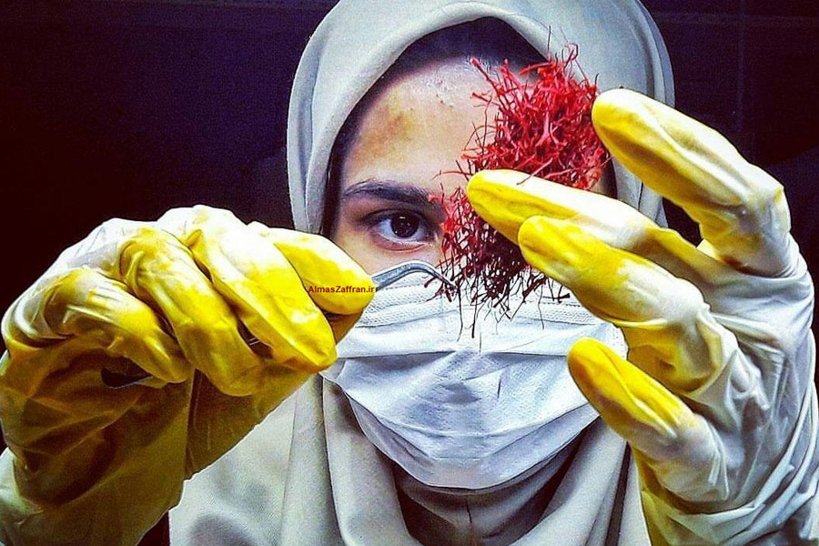 آزمایش‌های تخصصی زعفران