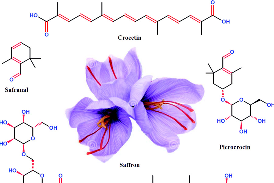 معرفی ماده کروسین و پیکروکروسین موجود در زعفران