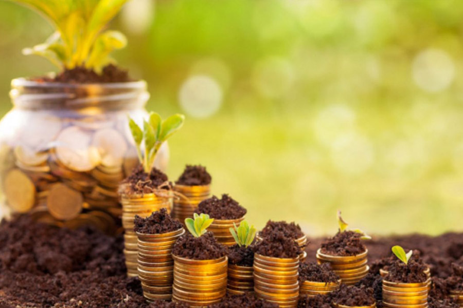 مجوزهای قانونی مورد نیاز برای کشت گل‌محمدی